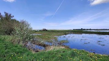 Vista al agua