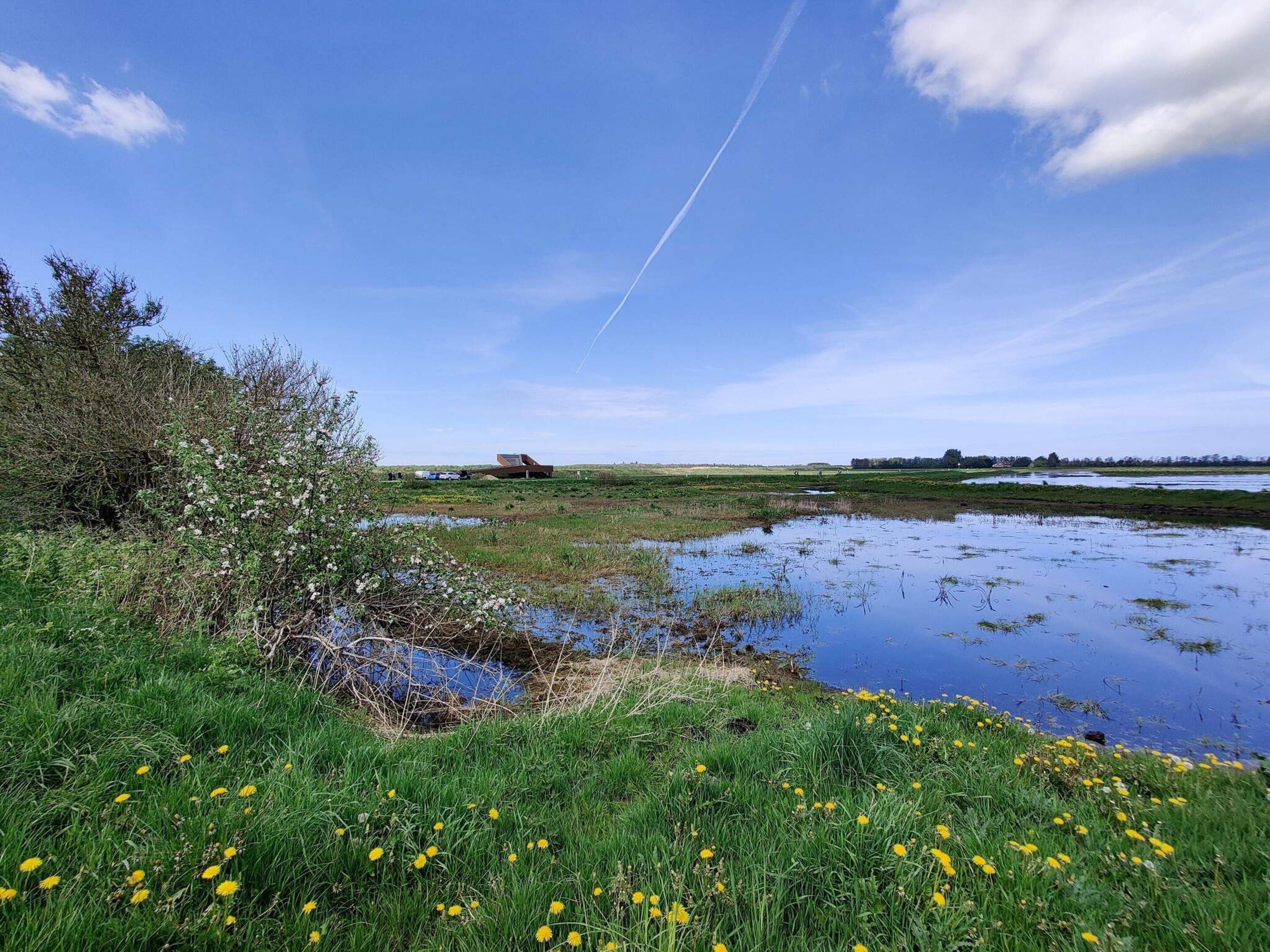 House | Water view