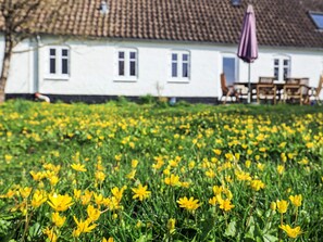 A white building with a tiled roof, a purple umbrella, and a field of yellow flowers. - 4 Star Holiday Home in Aabybro (Aabybro)