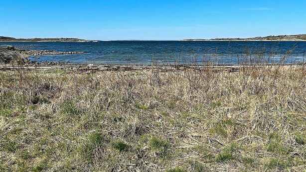 A coastal landscape with a clear sky, rocky shoreline, and sparse vegetation. - 6 Person Holiday Home in Torslanda-by Traum (Torslanda)