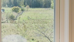 Vista a través de una ventana que muestra un campo cubierto de hierba, una cerca, un edificio pequeño y un bosque al fondo.