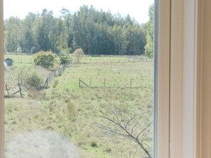 Vista attraverso una finestra su un prato con una recinzione, un piccolo edificio e una foresta sullo sfondo.