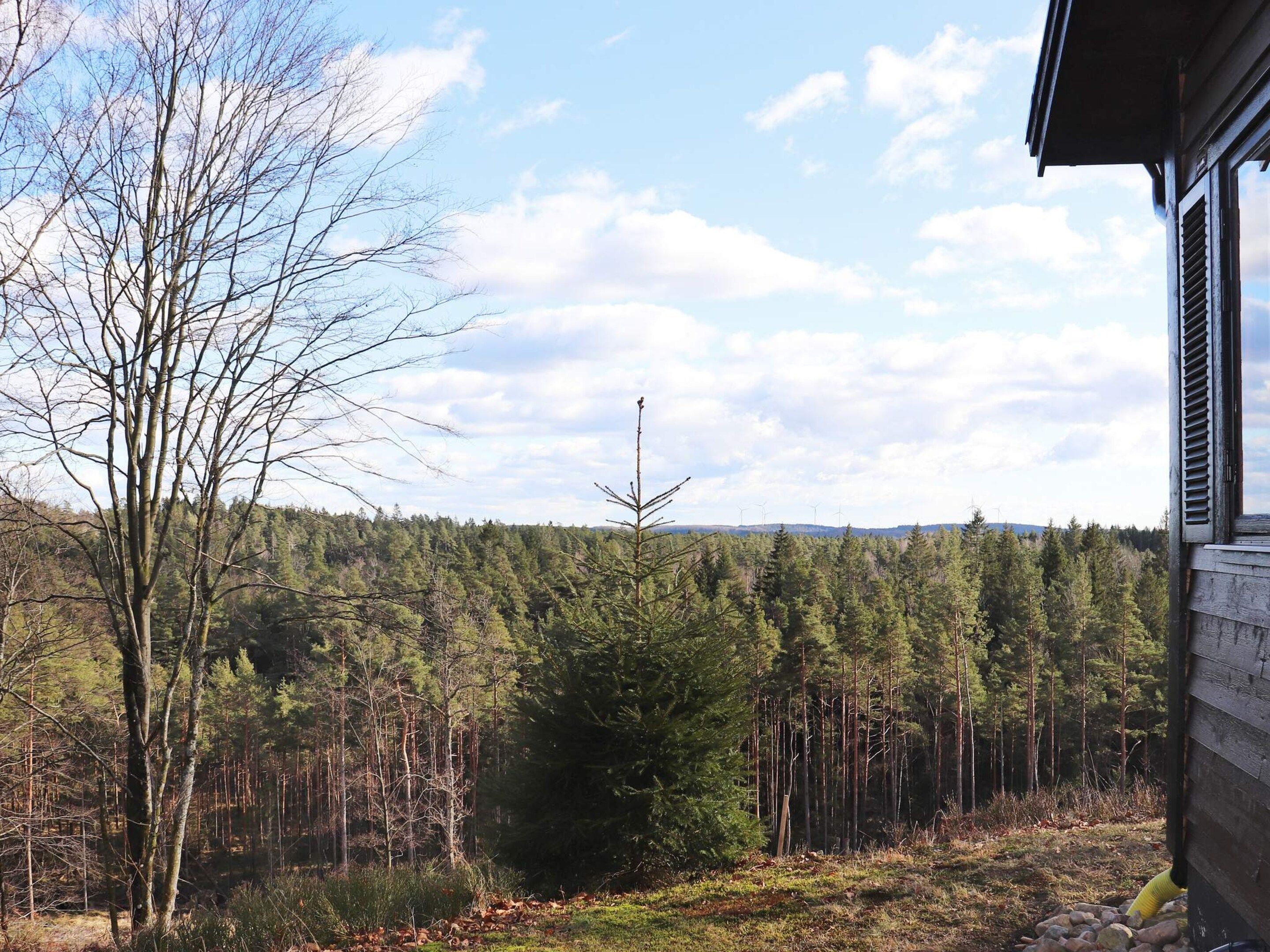 A forested landscape with a house and a wind turbine in the distance.