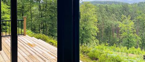 A wooden deck with a view of a forested area.