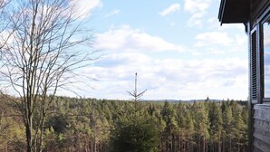 A forested landscape with a house and a wind turbine in the distance.