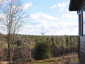 Ett skogslandskap med ett hus och en vindkraftverk i fjärran.