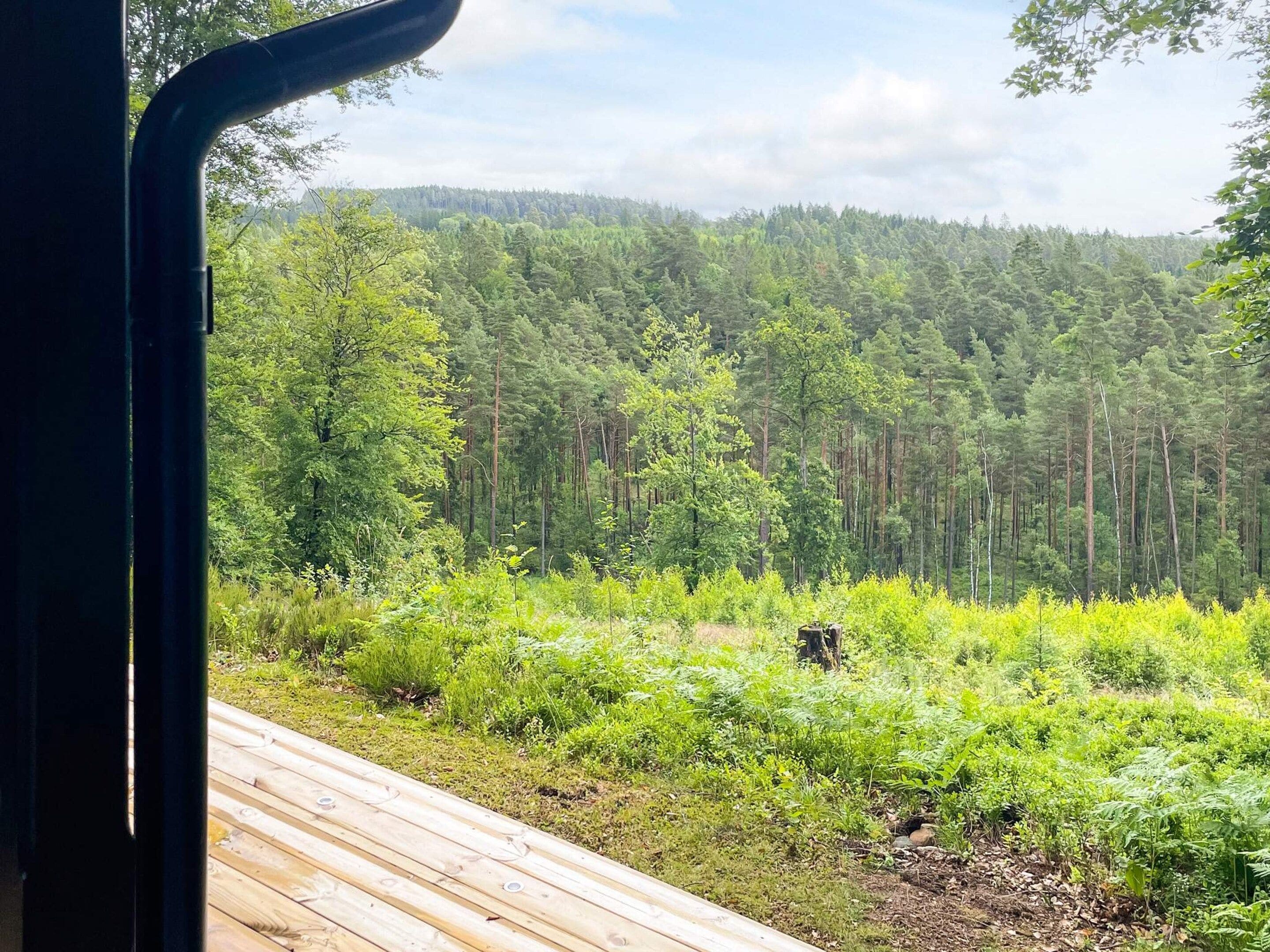 A view from a window overlooking a dense forest with a wooden deck in the foreground.