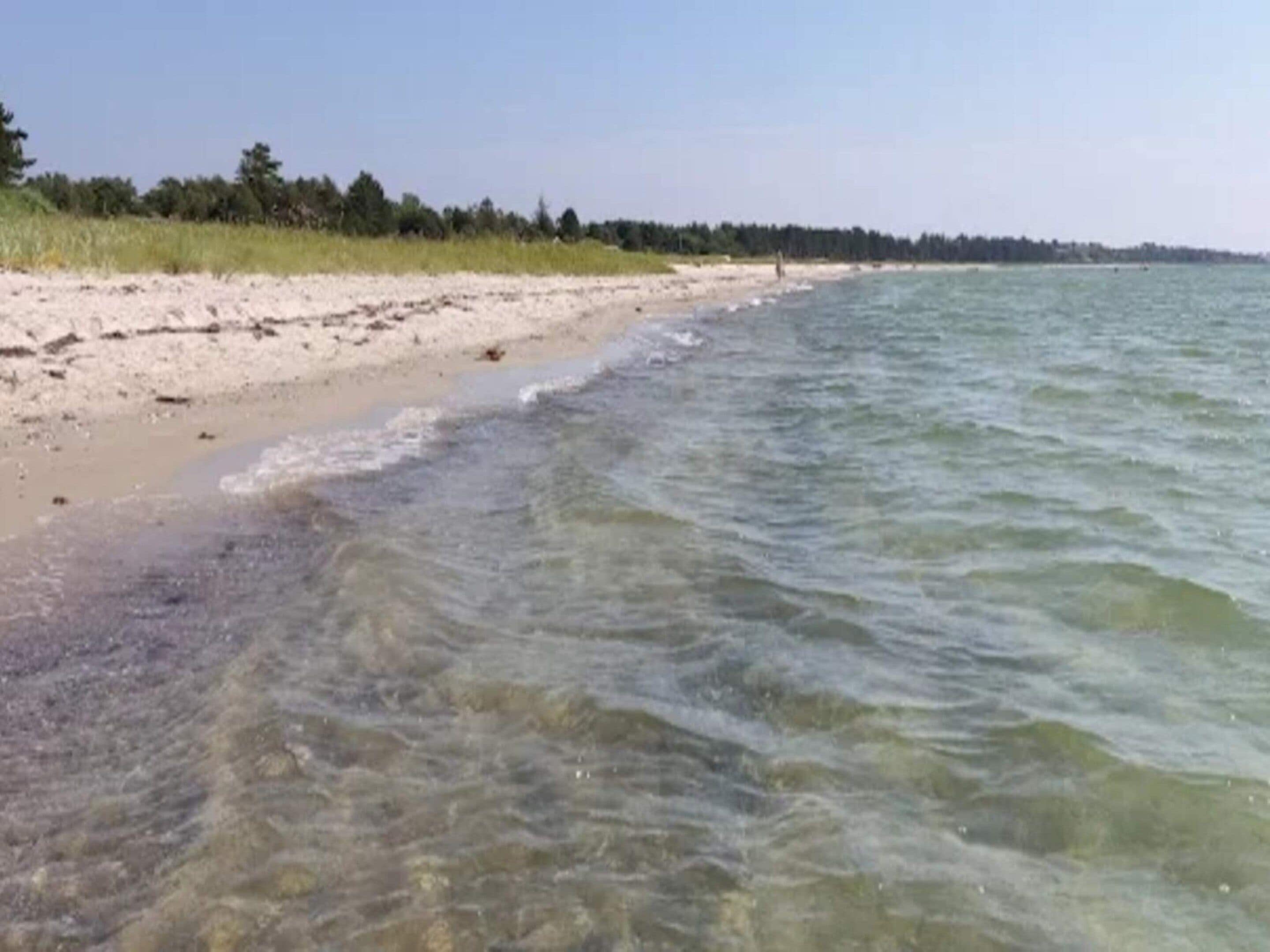 Een strand met helder water, een zandkust en een rij bomen in de verte.