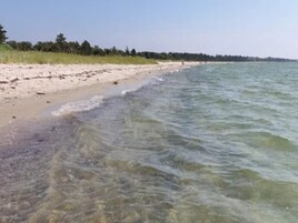 A beach with clear water, a sandy shore, and a line of trees in the background.