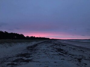 A beach with a long stretch of sand and a line of trees in the background. - 5 Person Holiday Home in Knebel (Knebel)