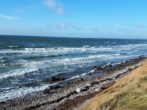 Un rivage rocheux où les vagues s’écrasent sur les galets et les algues.