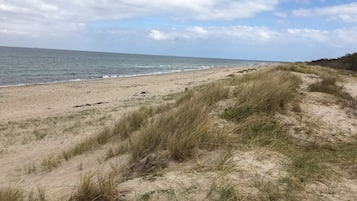 Una playa con dunas de arena y el océano.