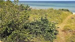 A coastal path with dense greenery and a clear view of the sea. - 8 Person Holiday Home in Gilleleje (Gilleleje)
