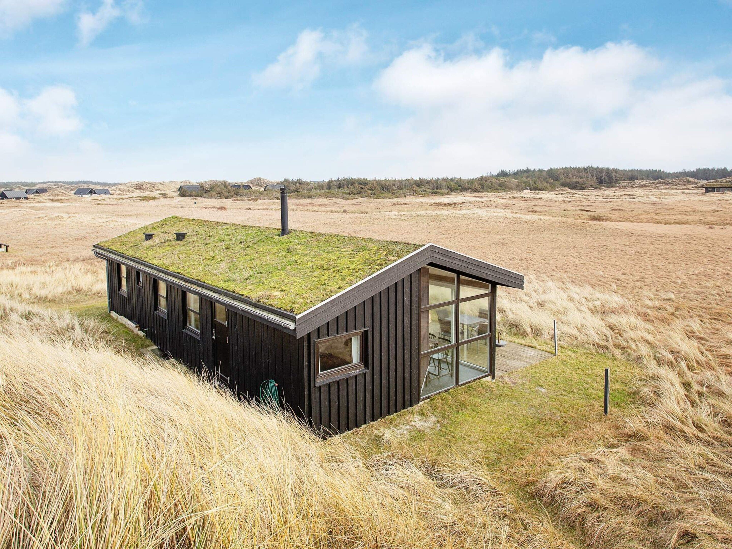 A modern, single-story cabin with a grass roof, large windows, and a view of a natural landscape.
