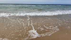 A beach with waves, a clear sky, and a distant shoreline.