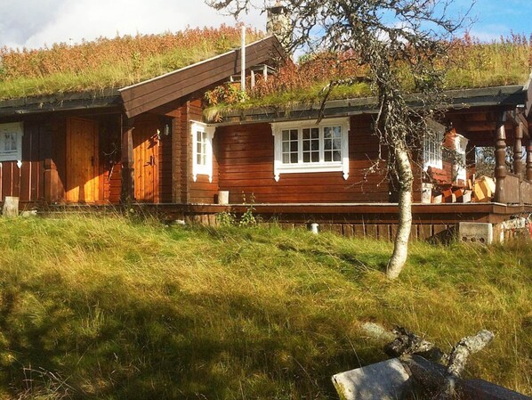 Exterior - 8 Person Holiday Home in Etnedal-by Traum (Etnedal)
