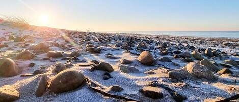 Ein Strand mit verstreuten Steinen und blauem Himmel.