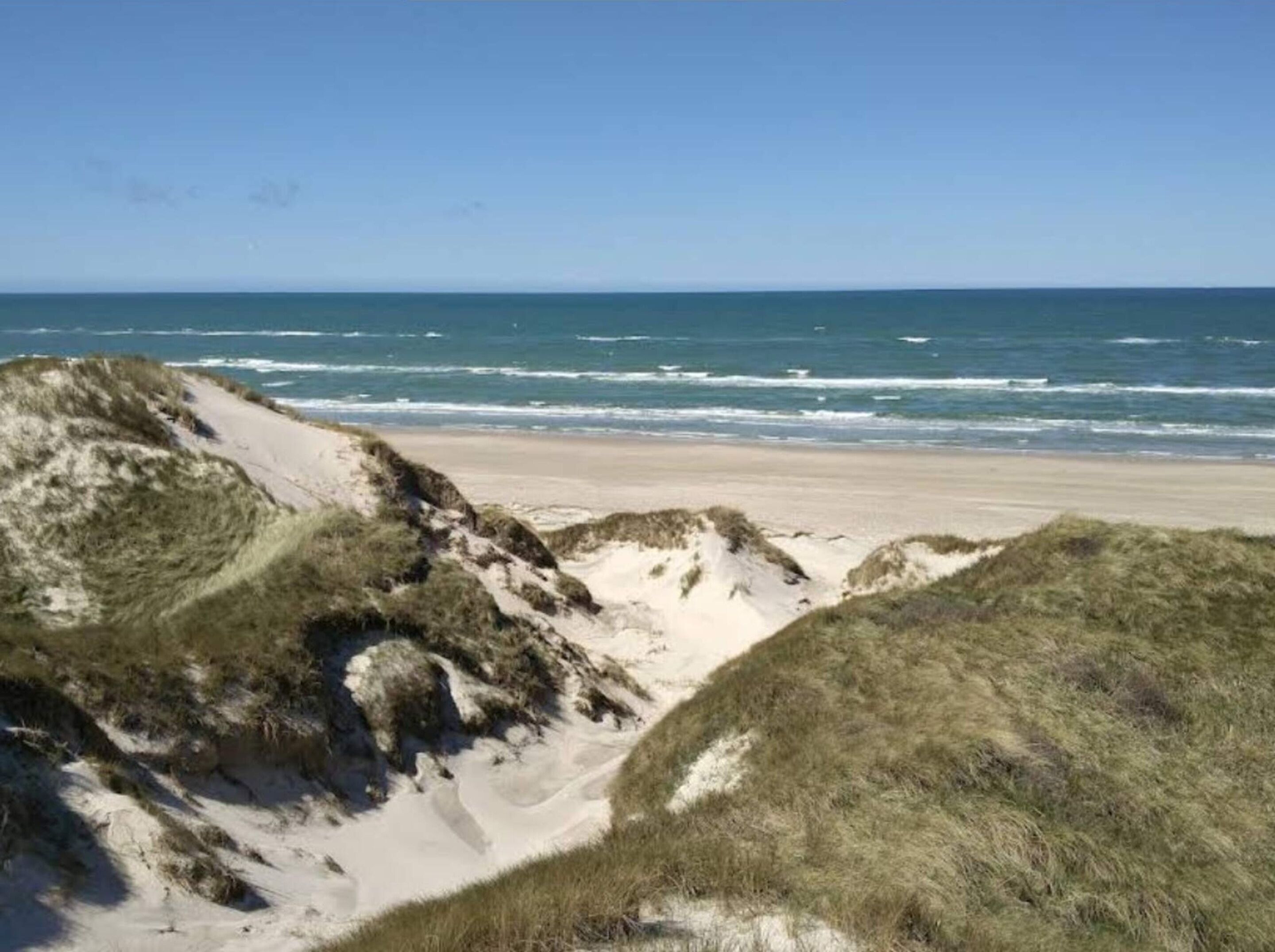 Una spiaggia con dune e oceano.