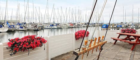 House | Marina