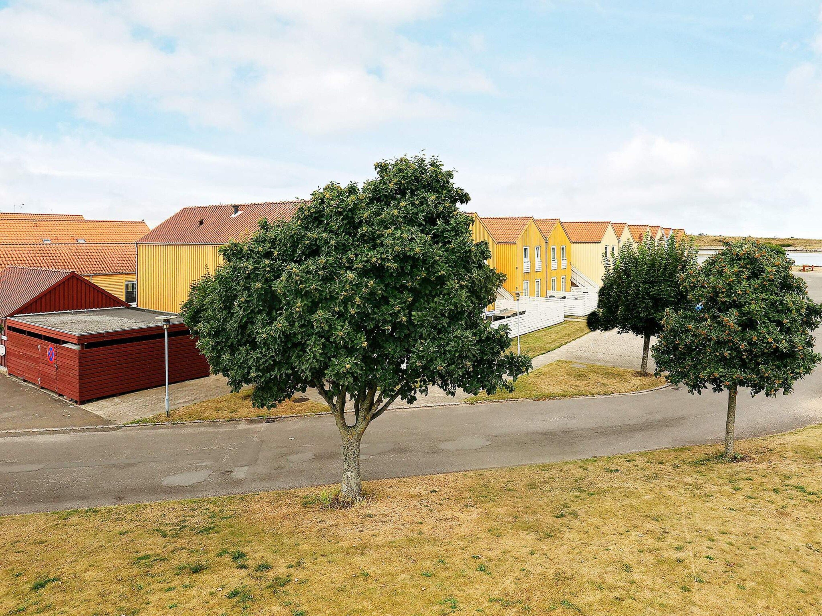House | Property grounds