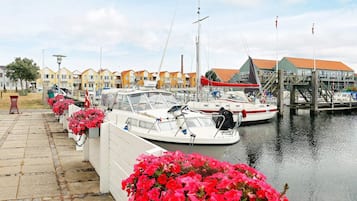 House | Marina