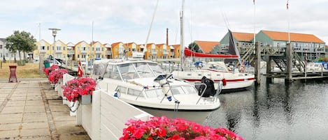 A marina with boats docked, a waterfront walkway, and colorful buildings in the background.