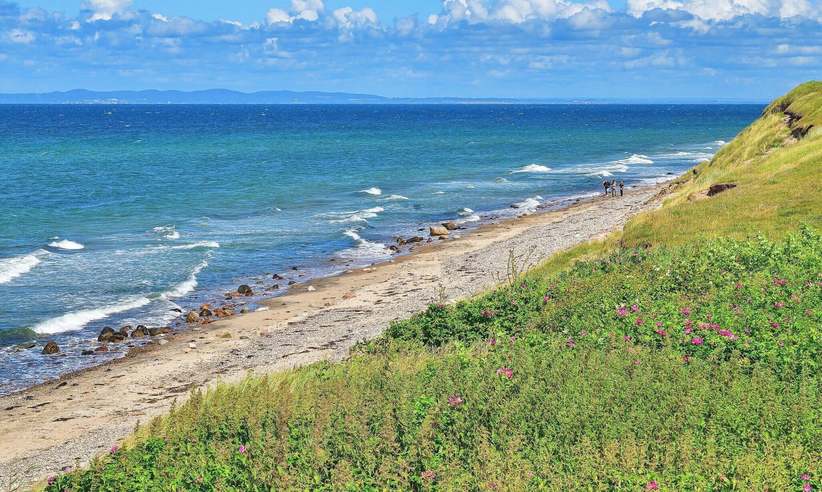 Et kystlandskab med sandstrand, klippekyst og en græsplæne med lyserøde blomster.