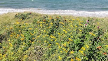 Een kustlandschap met weelderige begroeiing en uitzicht op de oceaan.
