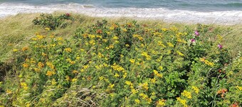 5 Person Holiday Home in Gilleleje