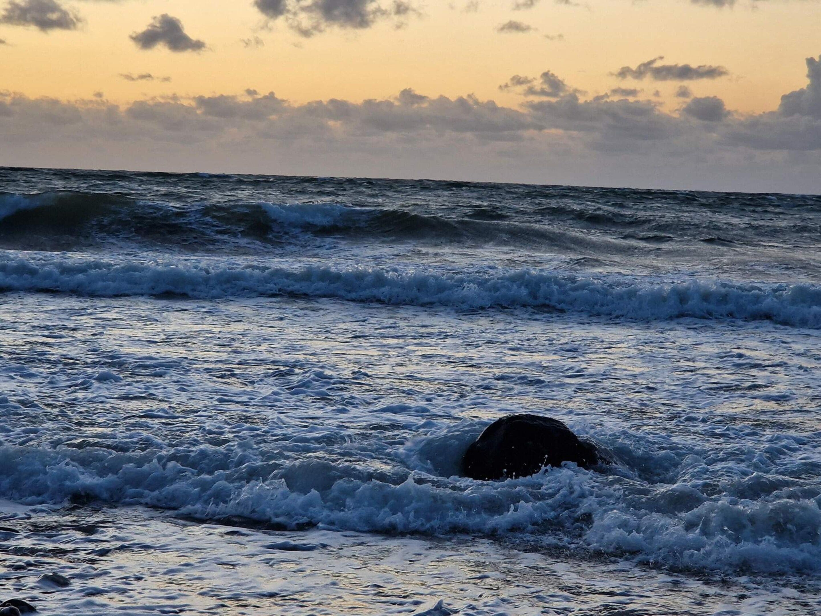 A dog in the water at sunset.