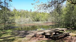 A picnic table in a wooded area with a pond. - 4 Star Holiday Home in Albaek (Aalbaek)