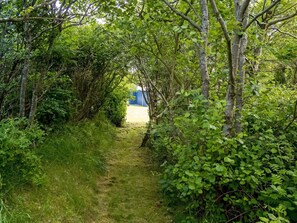 A narrow path leading through dense greenery, flanked by trees and shrubs.