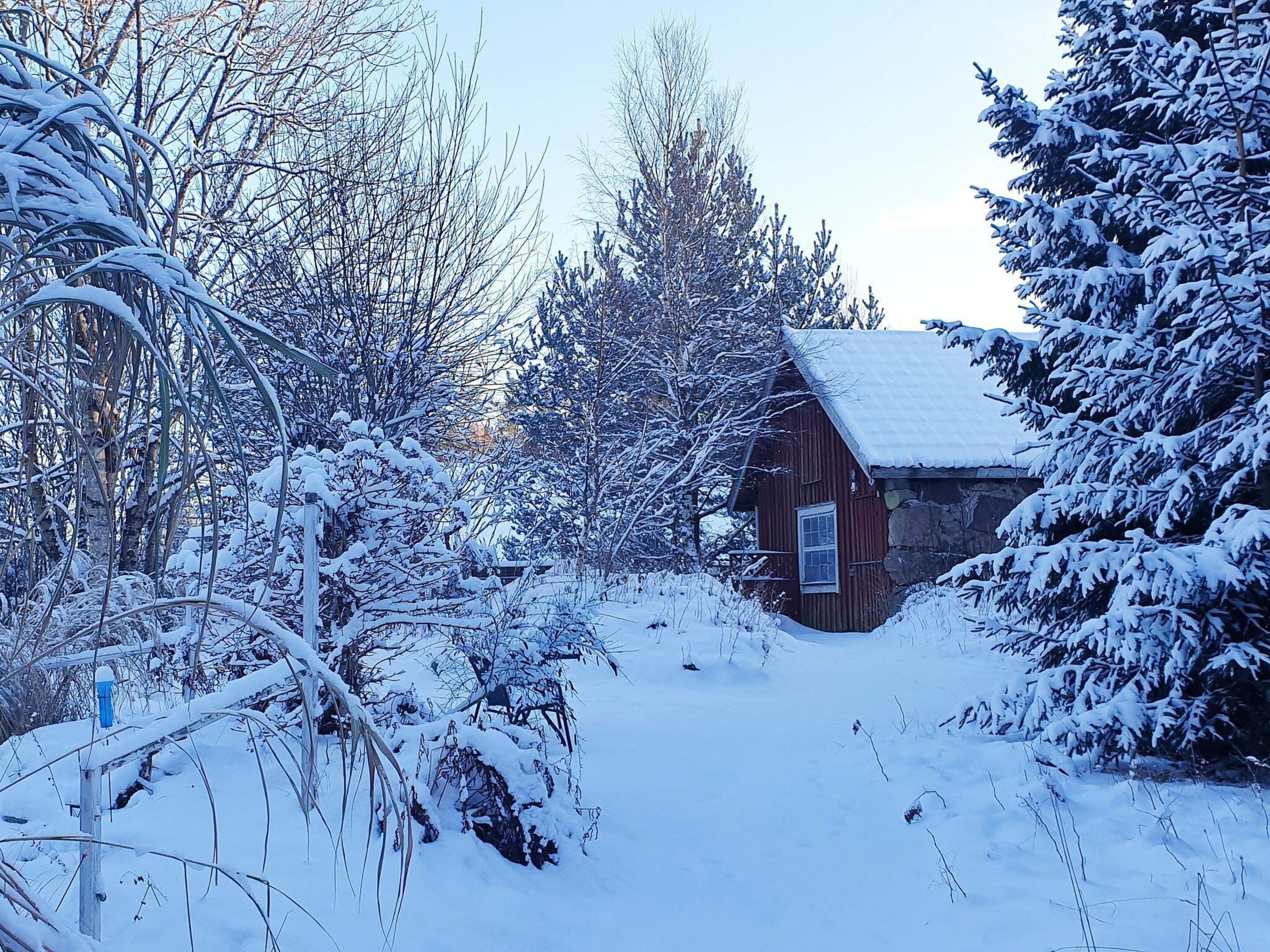 A snow-covered landscape with a rustic cabin surrounded by trees.