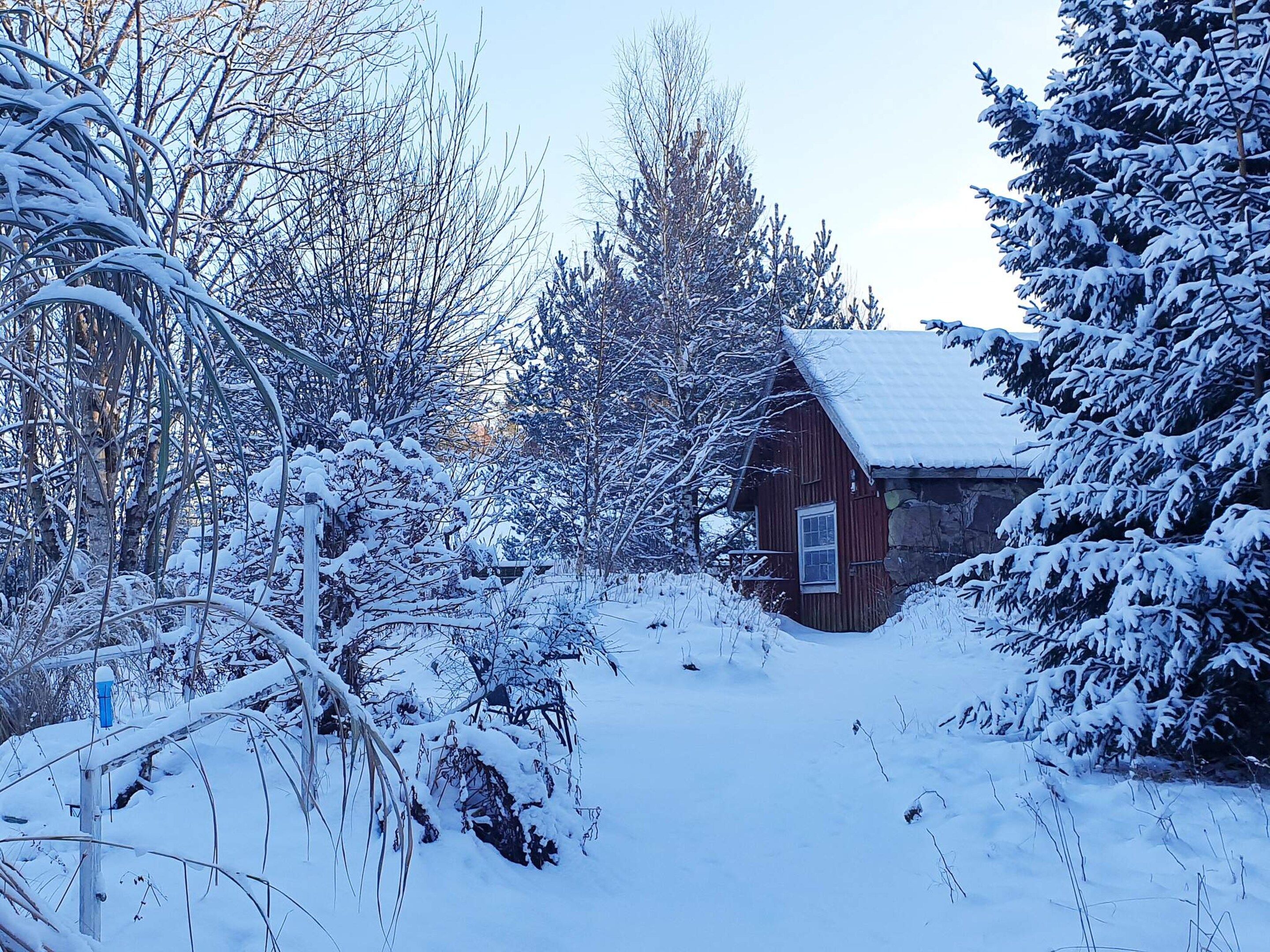 A snow-covered cabin with a stone foundation, surrounded by dense trees and snow-laden branches.