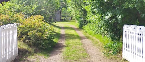 A gravel path leading to a white gate, surrounded by dense greenery and a wooden structure in the background.