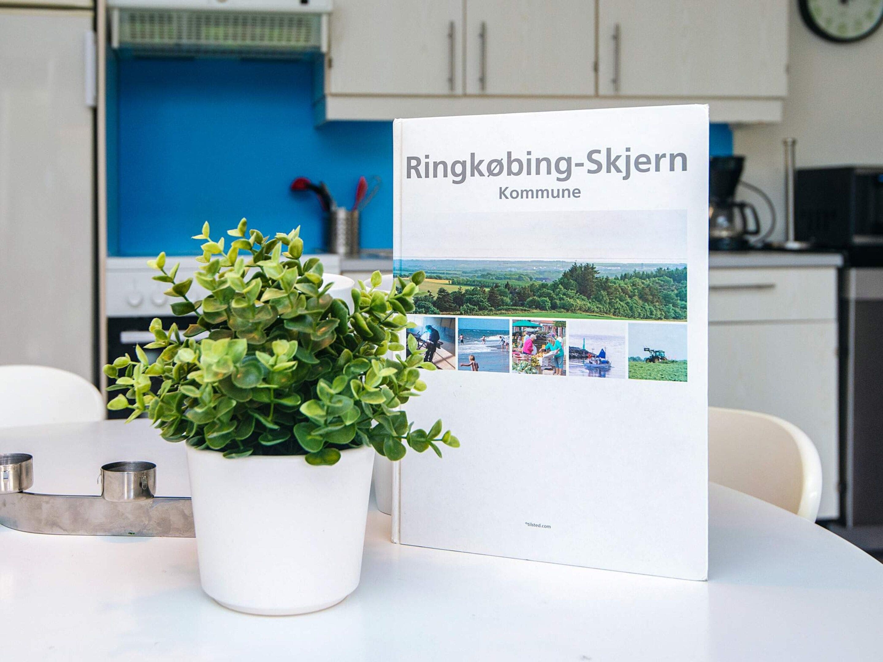A brochure titled 'Ringkobing-Skjern Kommune' on a table with a potted plant.