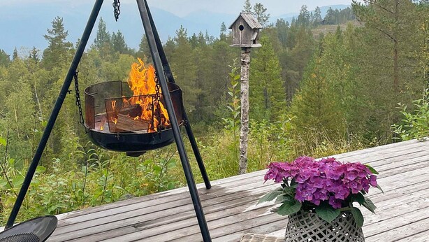Un foyer suspendu sur une terrasse en bois, avec une nichoir et un pot de fleurs en arrière-plan.