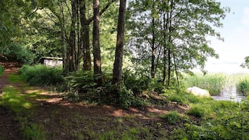House | Property grounds