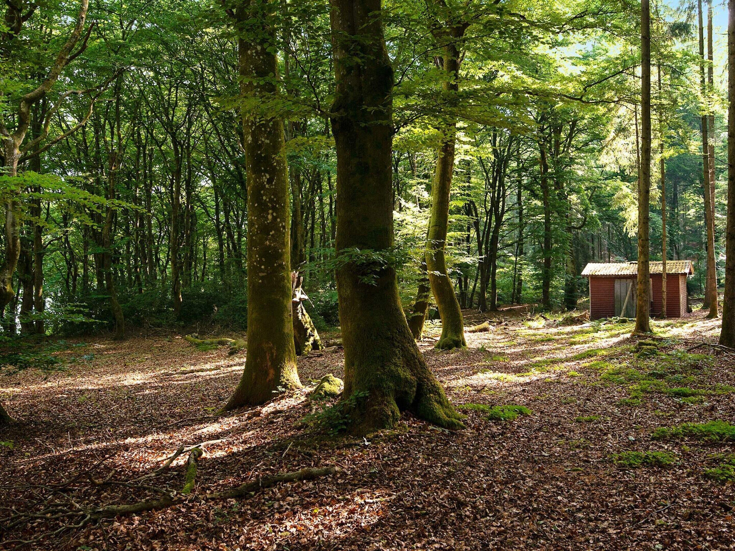 บ้านพัก | บริเวณที่พัก