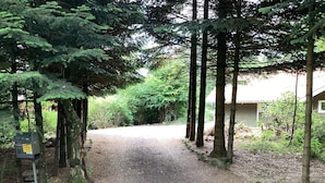 Un chemin de gravier mène à un bâtiment entouré de grands arbres et d’un feuillage dense.
