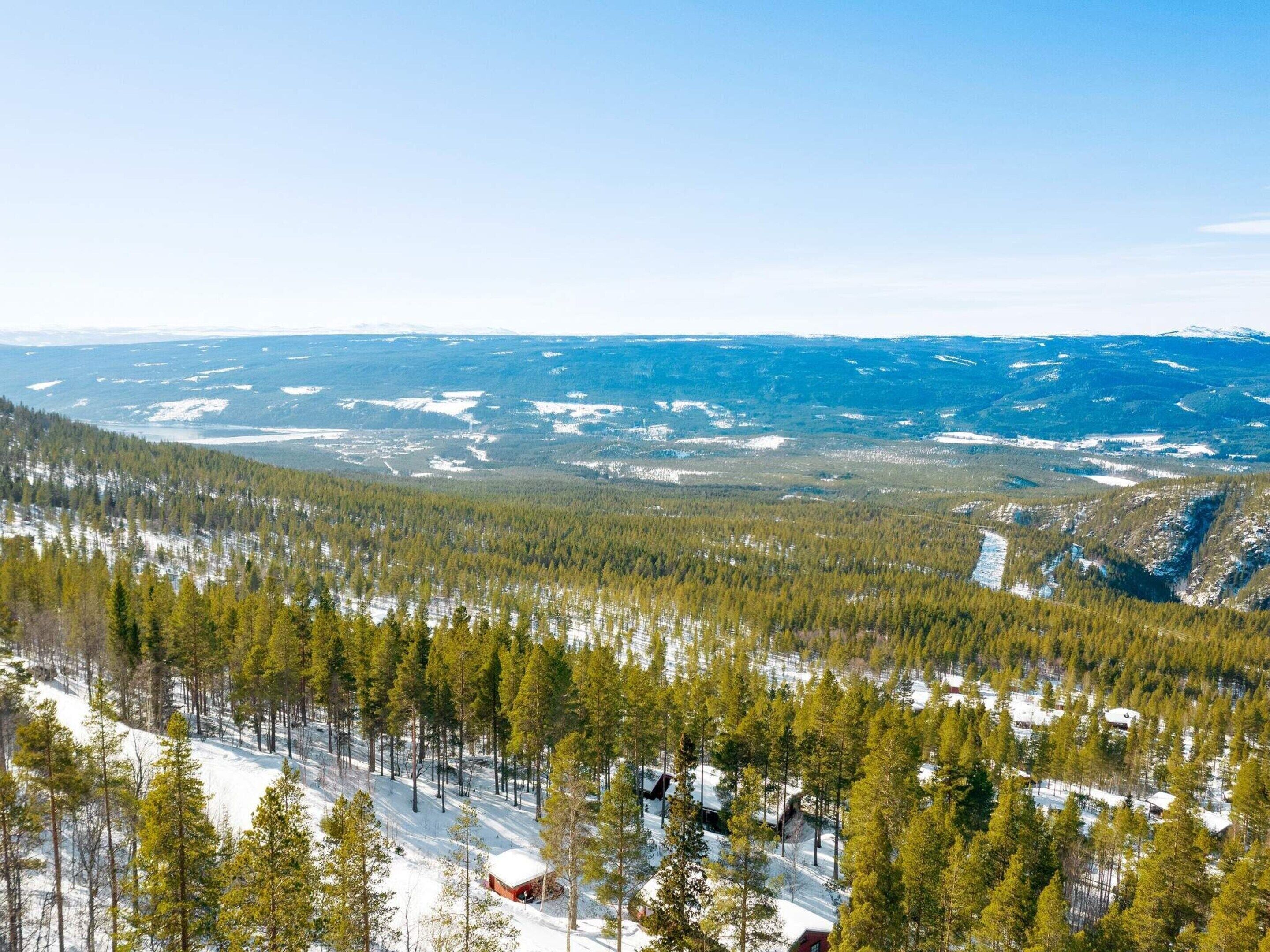 A remote cabin surrounded by dense forest and snow-covered terrain.