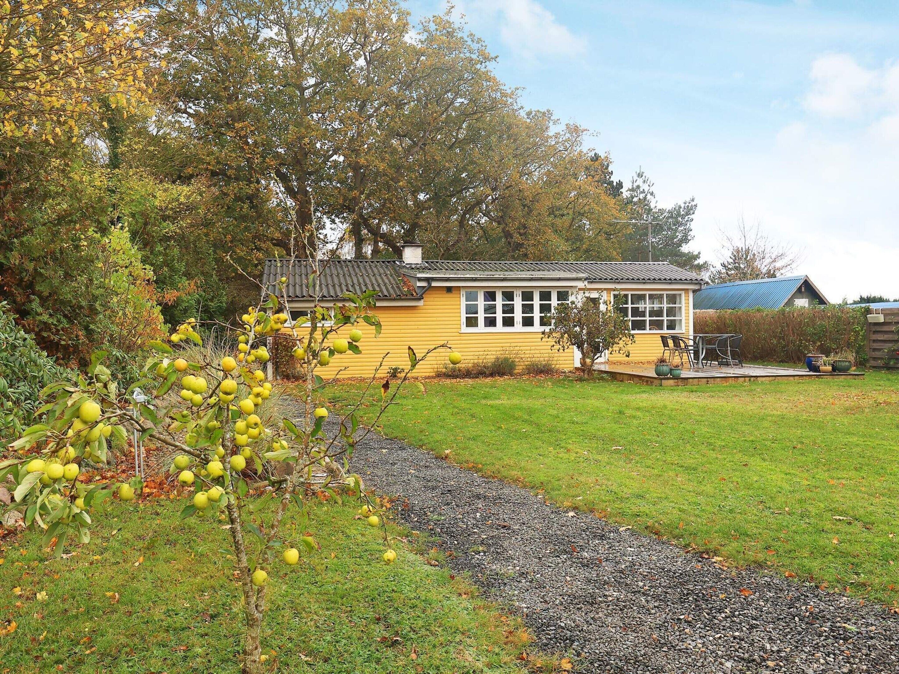 A yellow house with a gravel path leading to it, surrounded by trees and a grassy yard.