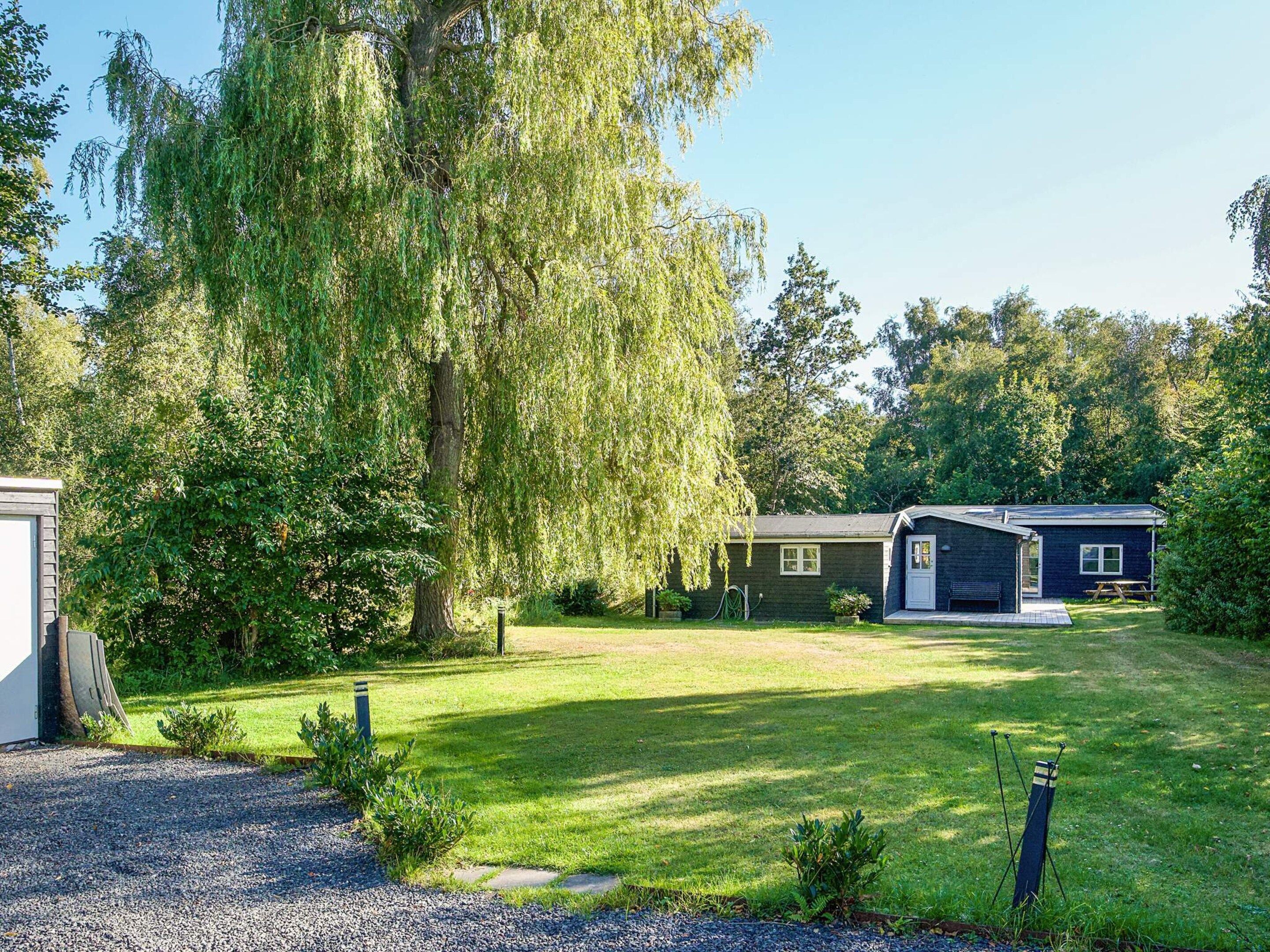 A residential property with a house, a shed, and a large tree.