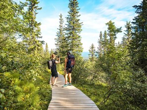 Two people hiking on a wooden boardwalk surrounded by dense forest. - 4 Star Holiday Home in Idre (Idre)