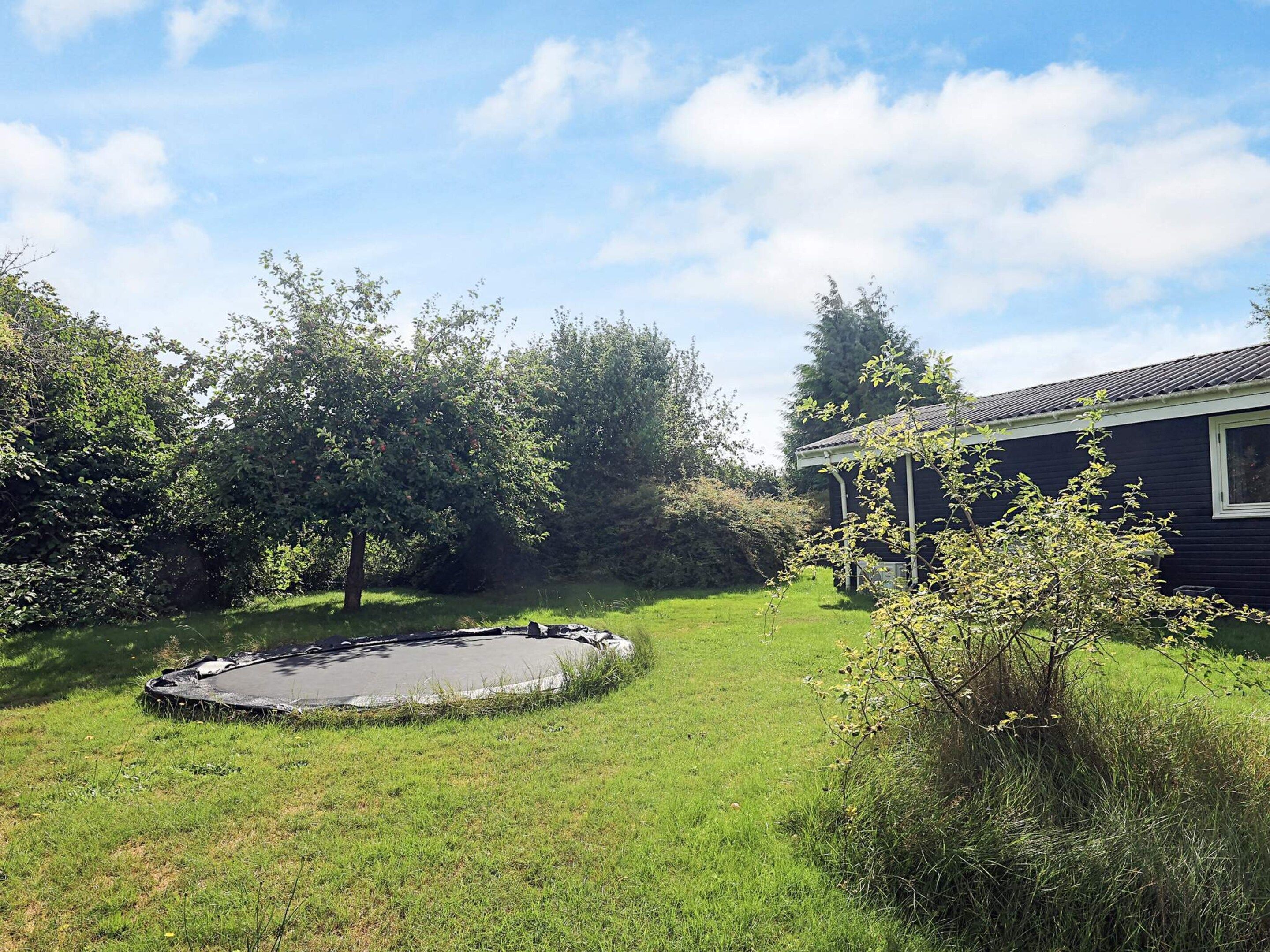 Un jardin avec un trampoline, un petit étang et une maison dont le toit est en pente.