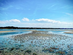 A coastal landscape with a beach and water. - 4 Star Holiday Home in Jaegerspris (Jægerspris)