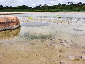 A beach with a large rock, clear shallow water, and a forested background. - 4 Star Holiday Home in Jaegerspris (Jægerspris)