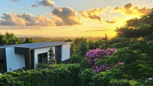 Ett modernt hus med ett platt tak, omgivet av frodig grönska och blommande växter.