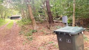 Ein bewaldetes Gebiet mit einem Weg, der zu einem Gebäude, einer Mülltonne und einem Verteilerkasten führt.