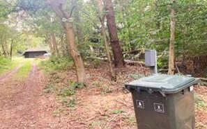 Uma área arborizada com um caminho que leva a um edifício, uma lixeira e um quadro de eletricidade.